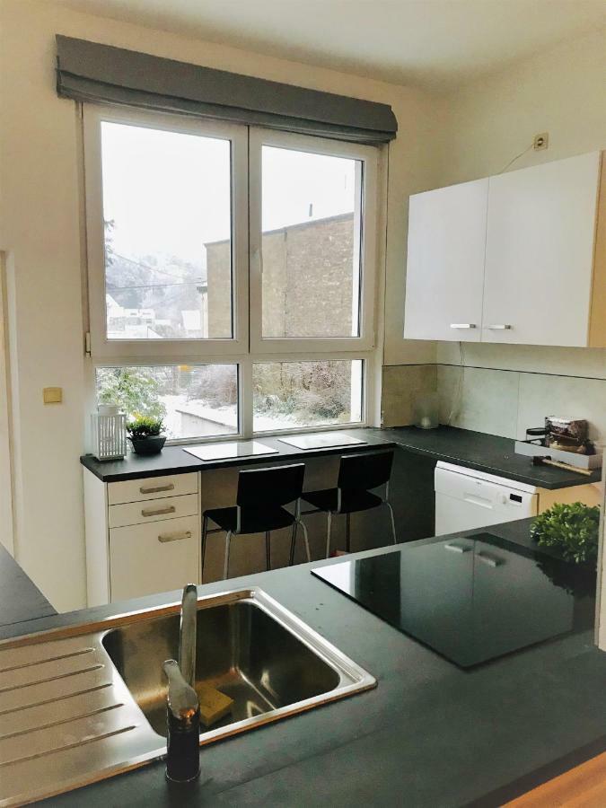 Le Cerf Pantin Rez De Jardin Appartement *